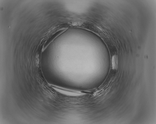 X0000087041443200705091058