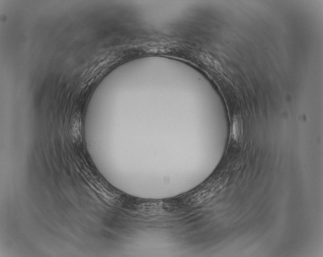 X0000087041444200705091058