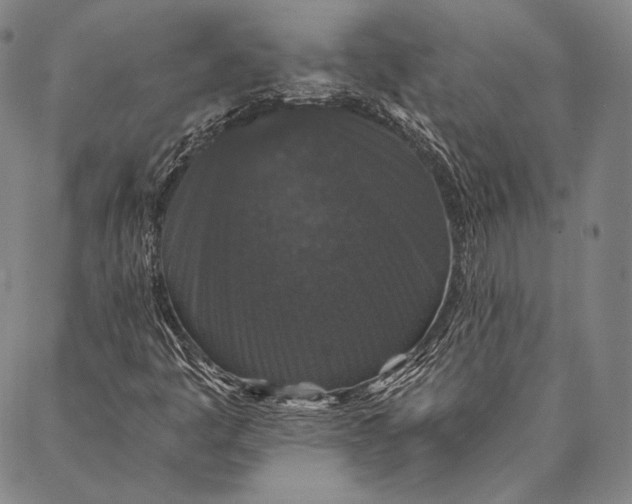 X0000087041445200705091058