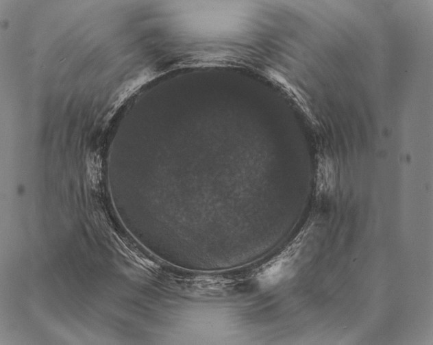 X0000087041449200705091058