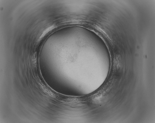X0000087041450200705091058