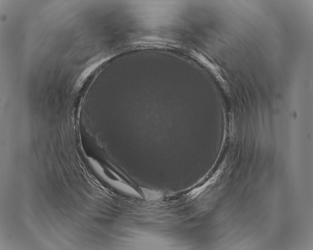 X0000087041453200705091058