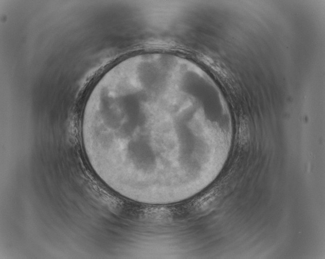 X0000087041454200705091058