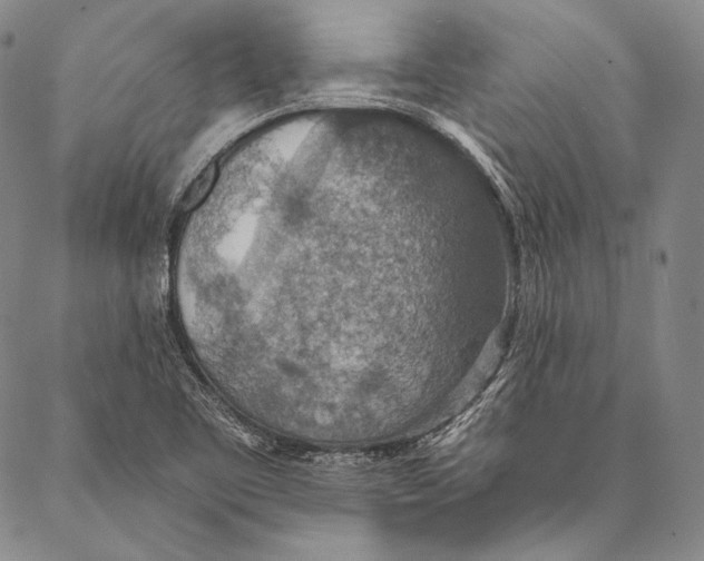 X0000087041461200705091058