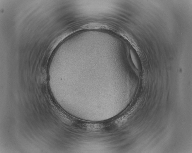X0000087041465200705091058