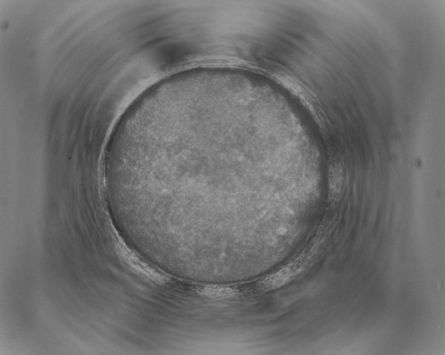 X0000087041466200705091058