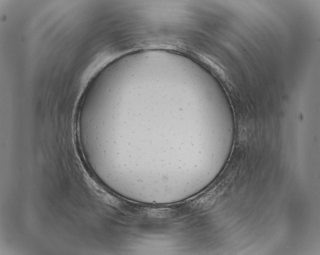 X0000087041471200705091058