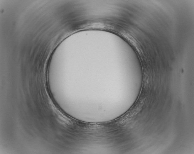 X0000087041475200705091058