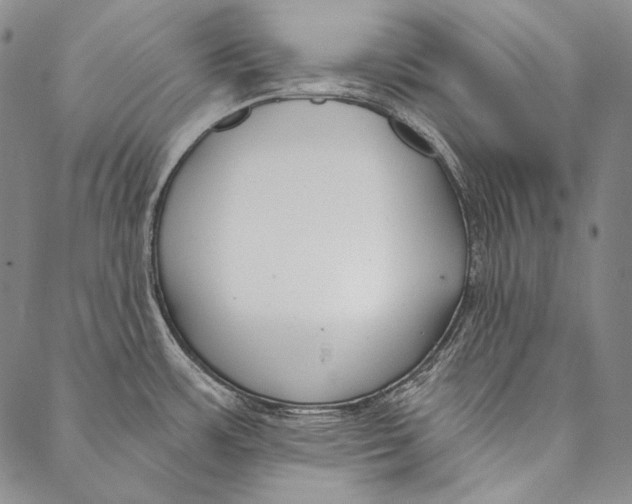 X0000087041483200705091058