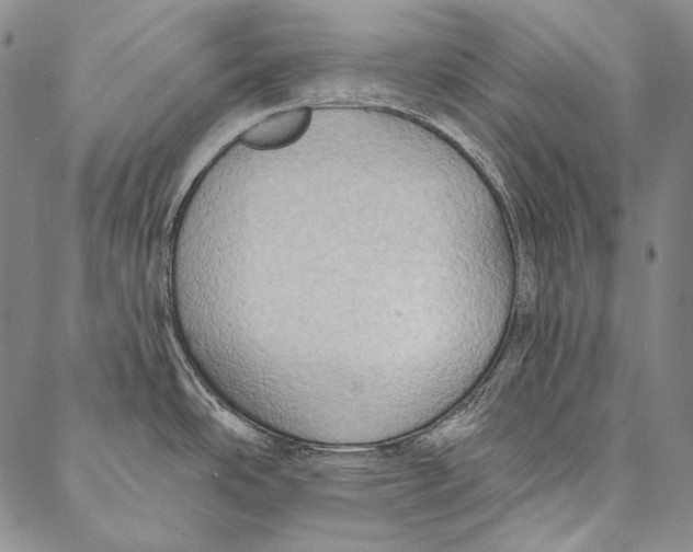 X0000087041486200705091058