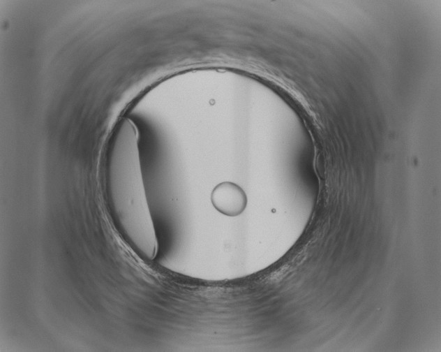 X0000087041510200705091057