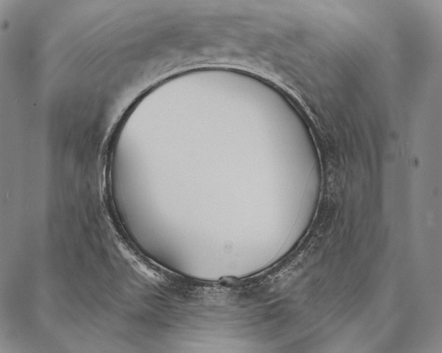 X0000087041511200705091057
