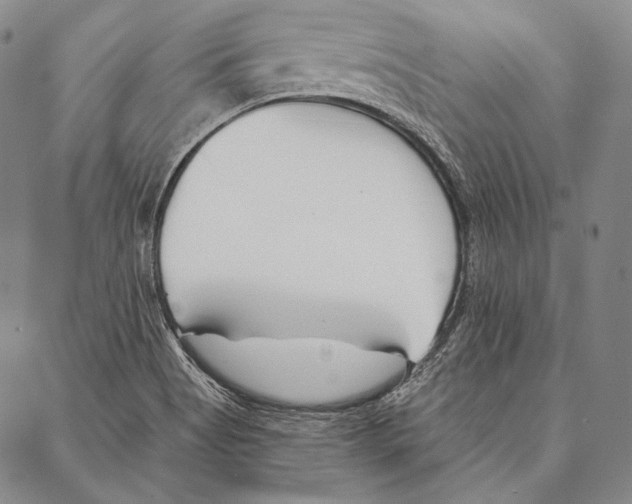 X0000087041513200705091057