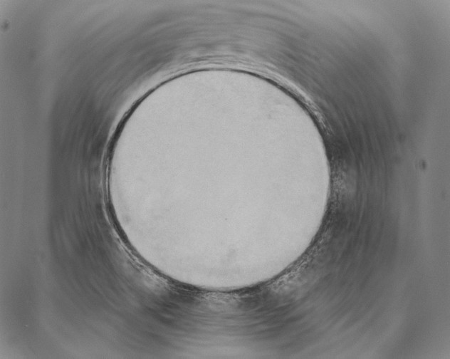 X0000087041514200705091057