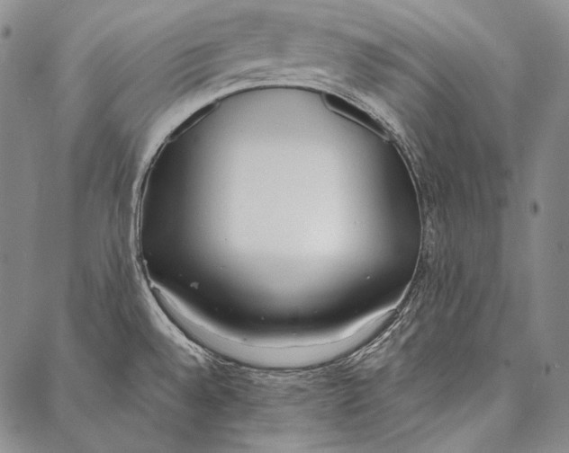 X0000087041528200705091058