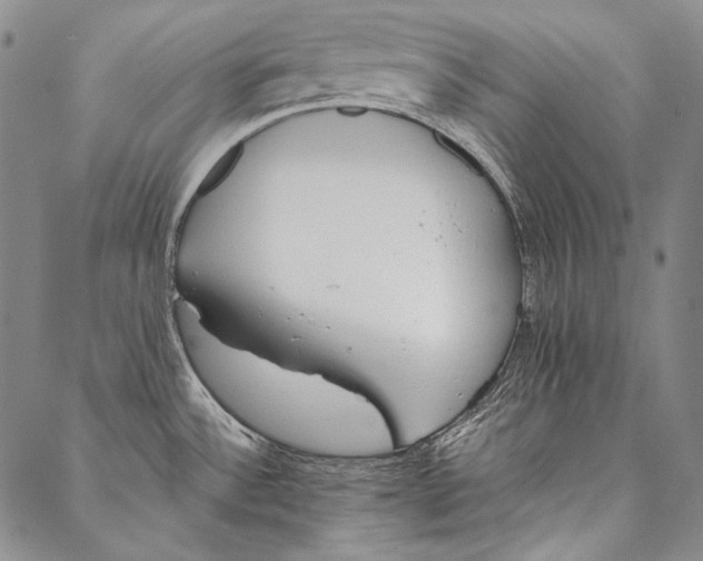 X0000087041532200705091058