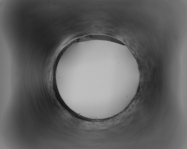 X0000087040005200705160940