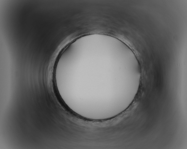 X0000087040007200705160940