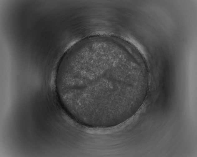 X0000087040009200705160940