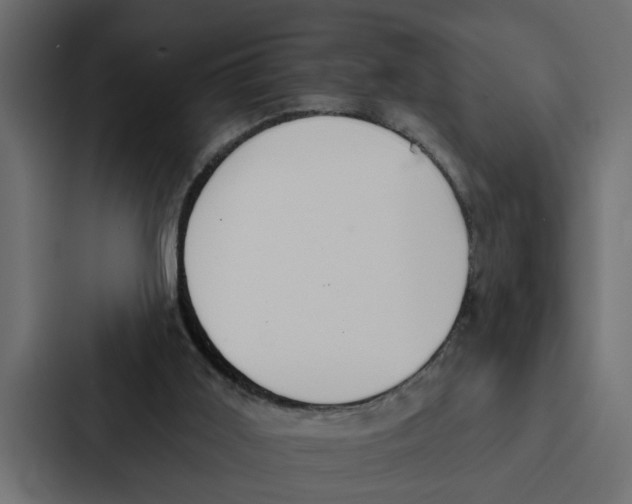 X0000087040011200705160940