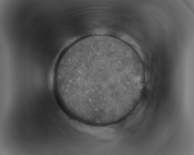 X0000087040012200705160940