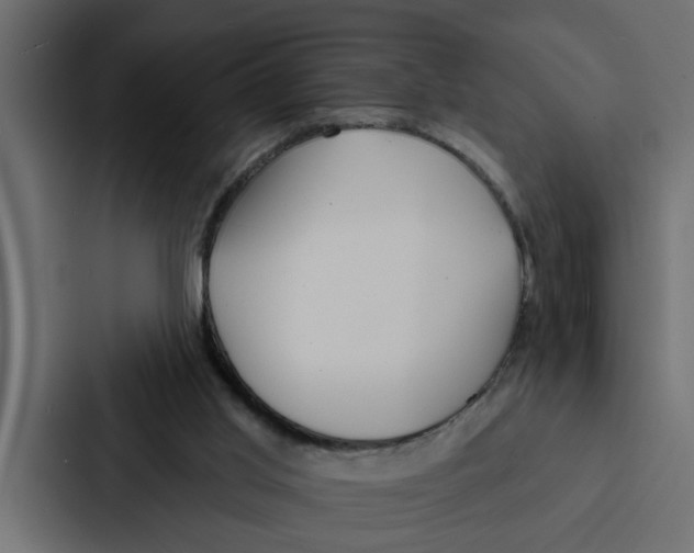 X0000087040013200705160940