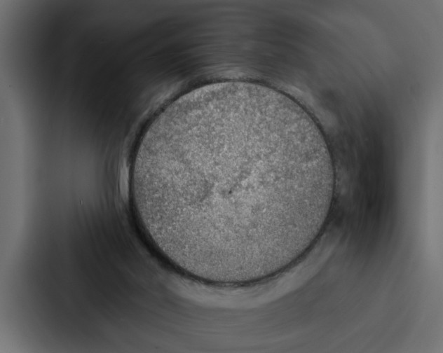 X0000087040014200705160939