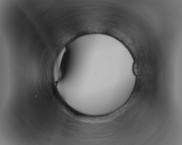 X0000087040017200705160939