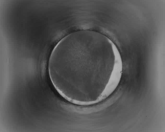 X0000087040018200705160939