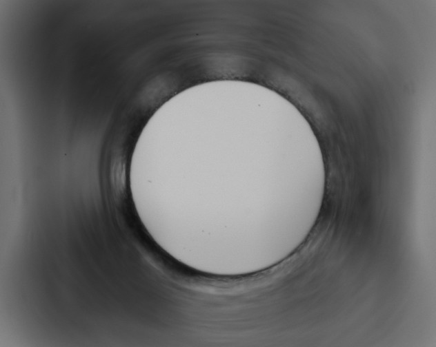 X0000087040021200705160939