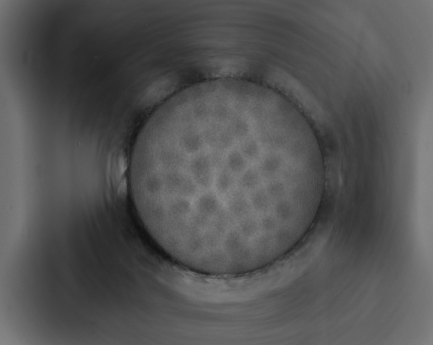 X0000087040022200705160939