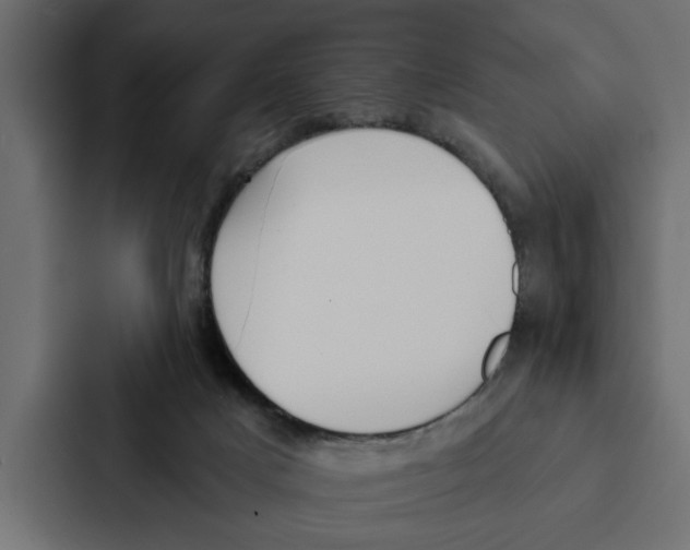 X0000087040025200705160939