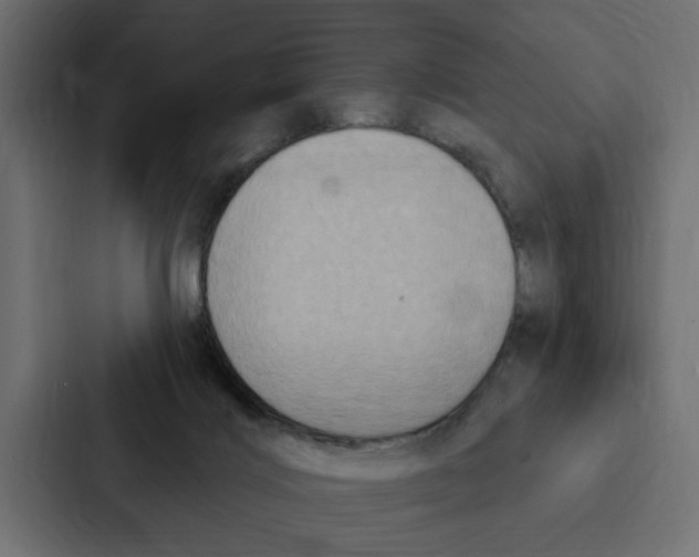 X0000087040028200705160939