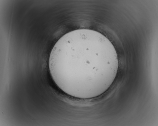 X0000087040032200705160939