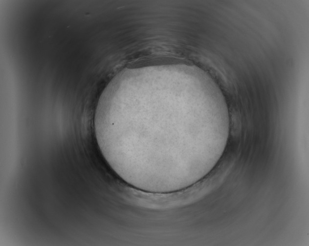 X0000087040034200705160939