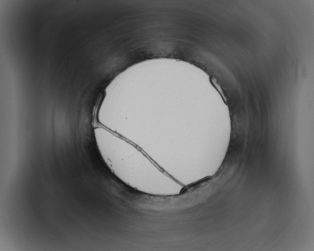 X0000087040037200705160939