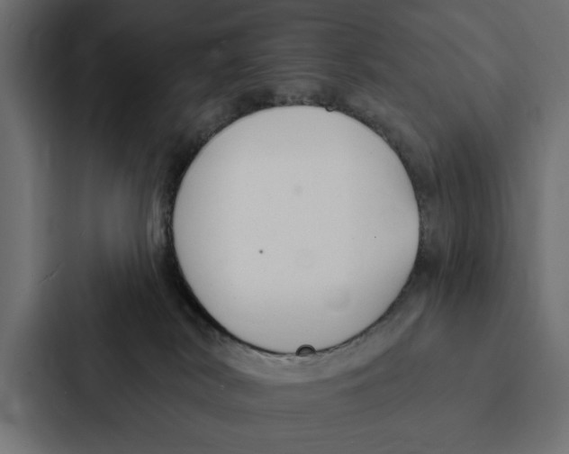 X0000087040038200705160939