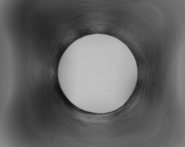 X0000087040040200705160939