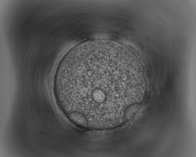 X0000087040049200705160938