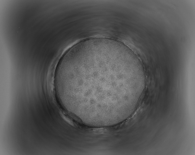 X0000087040050200705160938