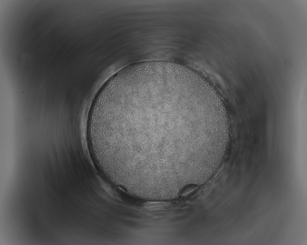 X0000087040051200705160938