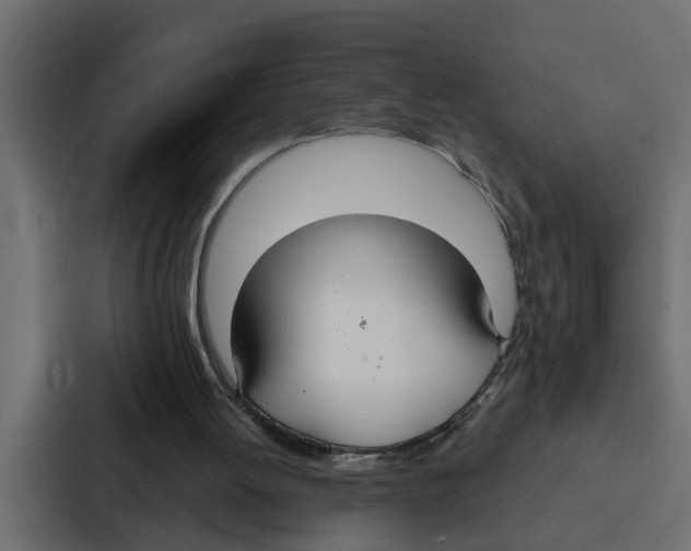 X0000087040052200705160938