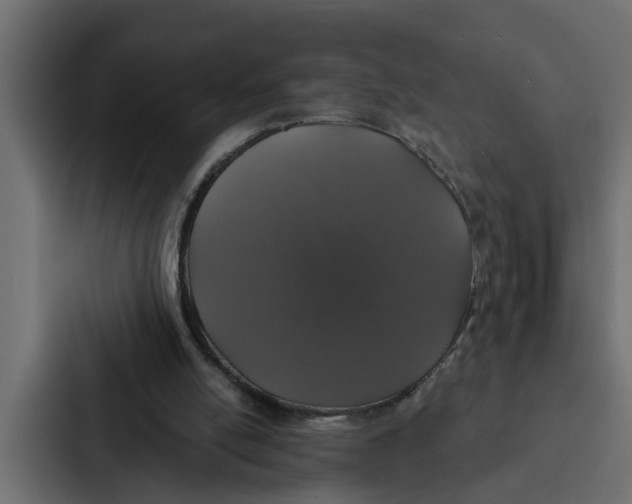 X0000087040054200705160938