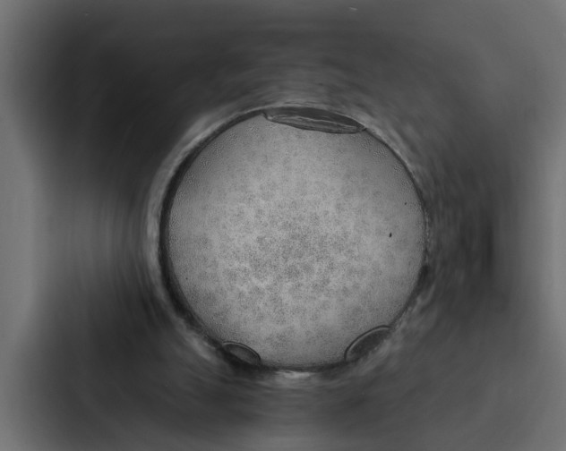 X0000087040055200705160939