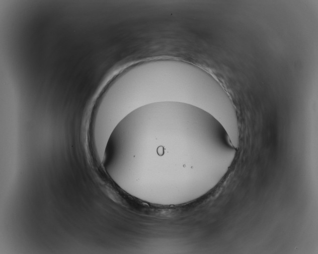 X0000087040056200705160939