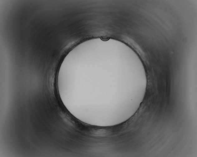 X0000087040058200705160939