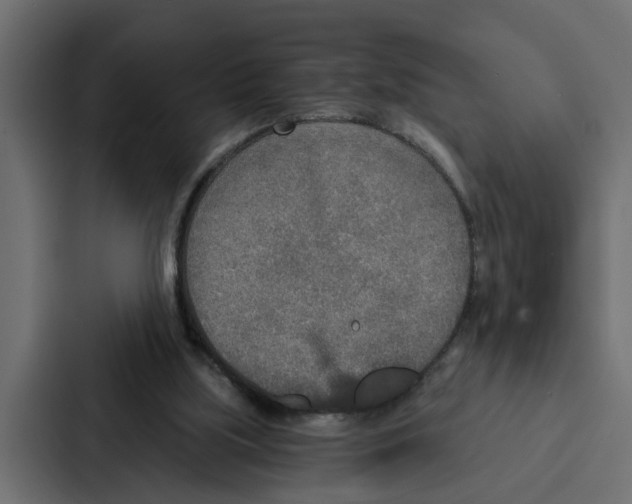 X0000087040059200705160939