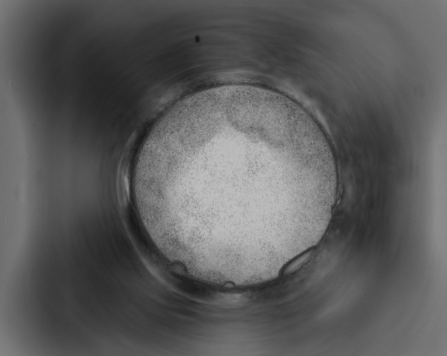 X0000087040061200705160939