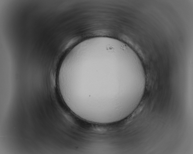 X0000087040062200705160939