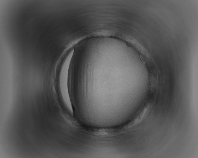 X0000087040064200705160939